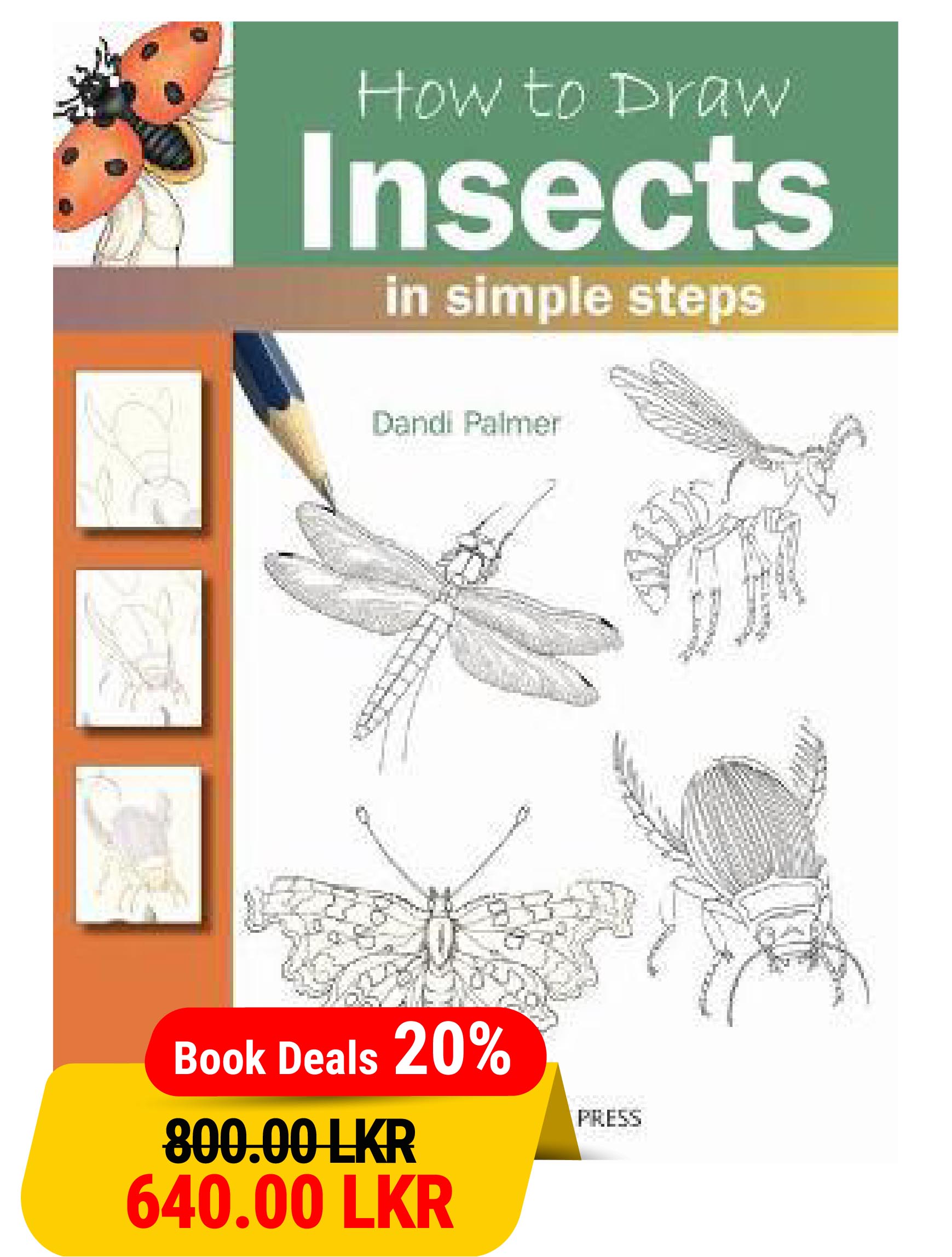 How to Draw Insects in Simple Steps