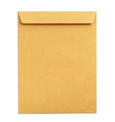 Envelope 12"  x 10" Plain Brown