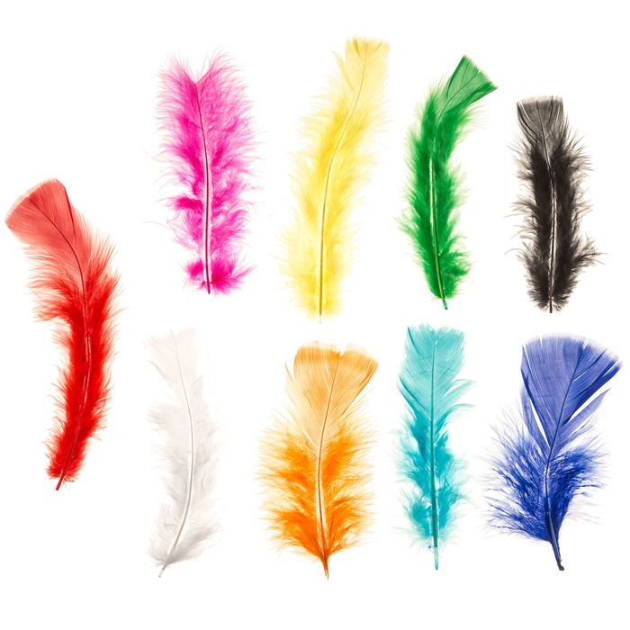Feathers ( L )