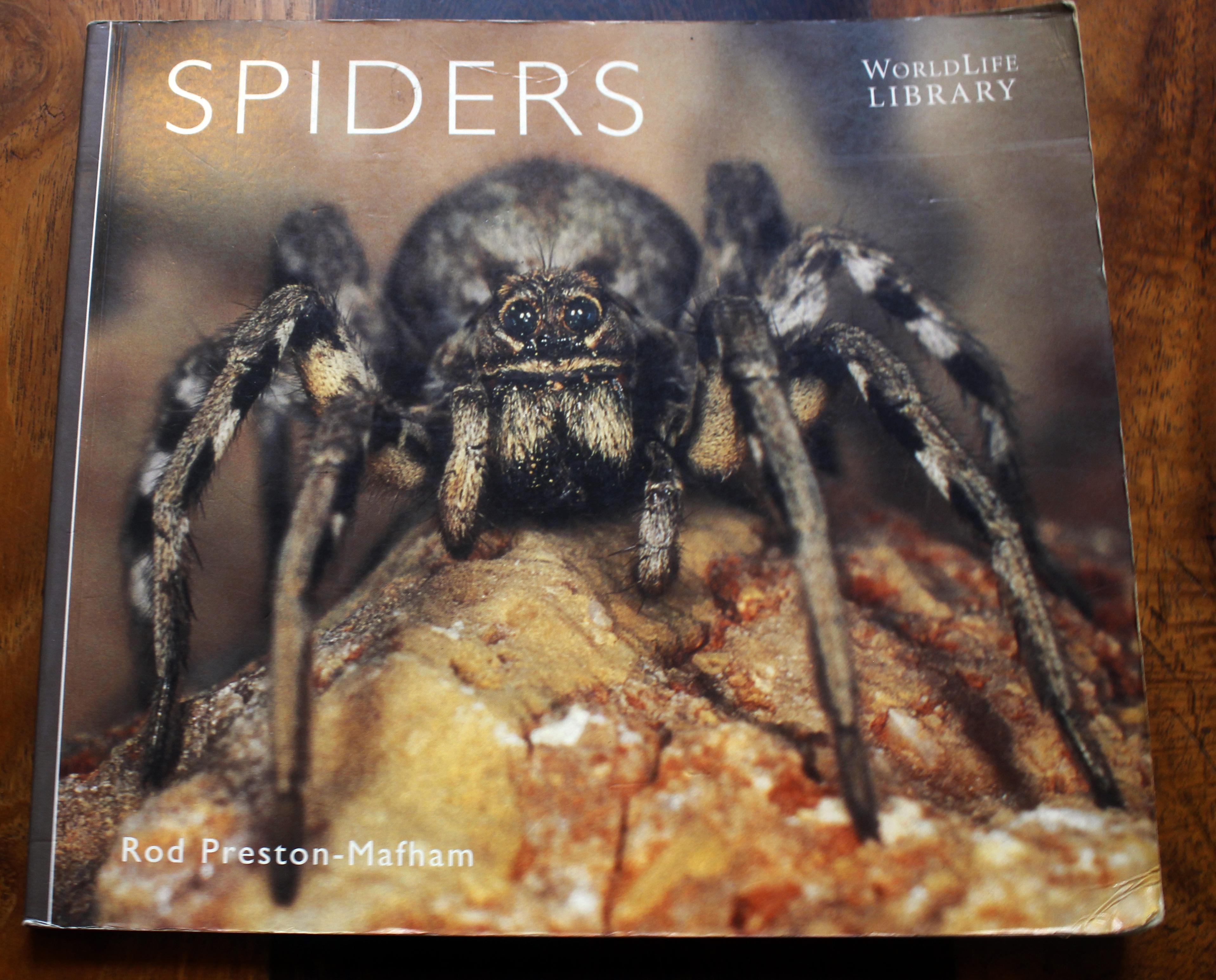 Spiders (World Life Library)
