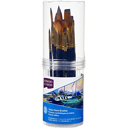 Derwent Academy 12pack Taklon Paint Brushes (M)