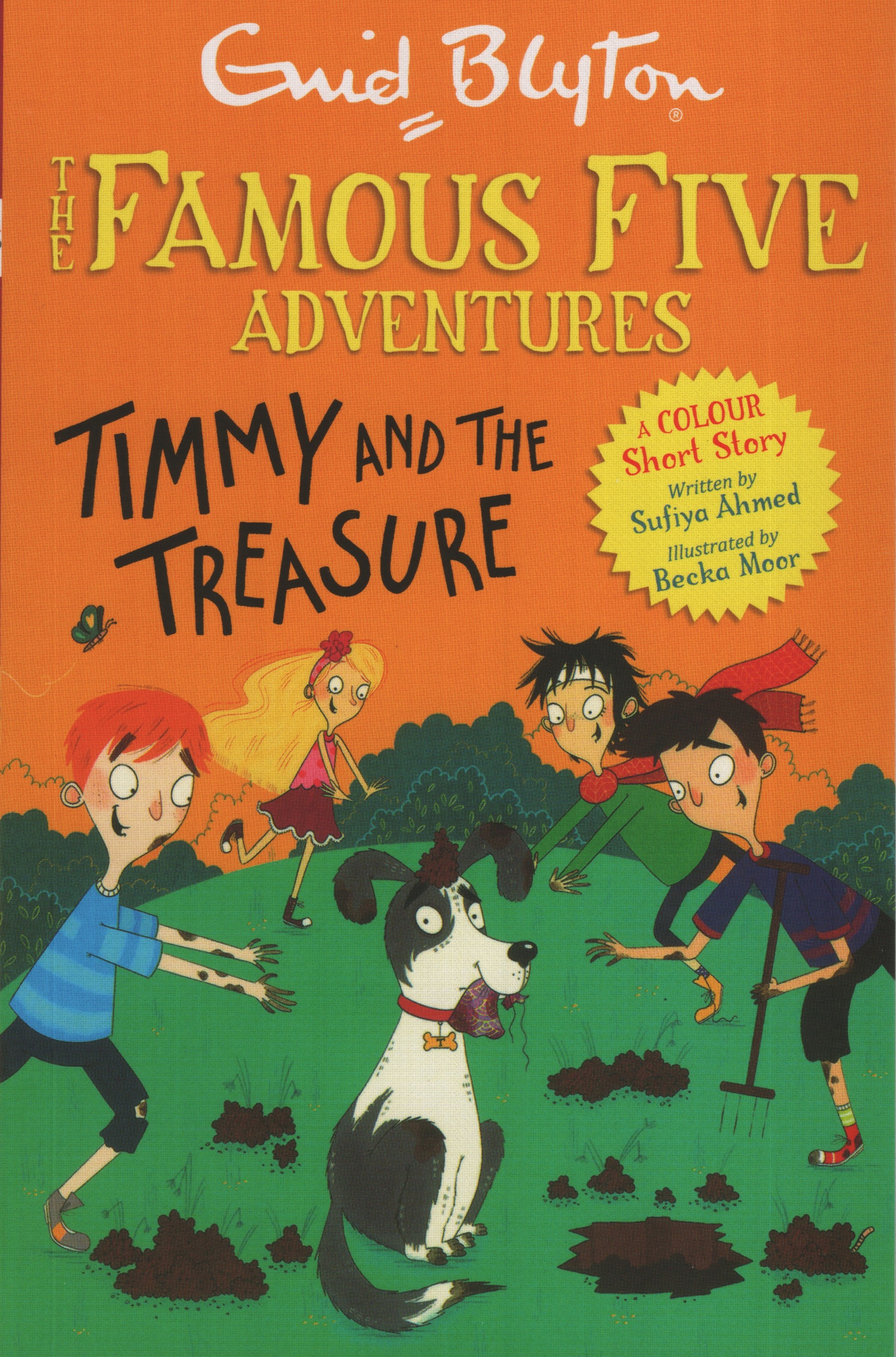 The Famous Five Adventures Timmy And The Treasure