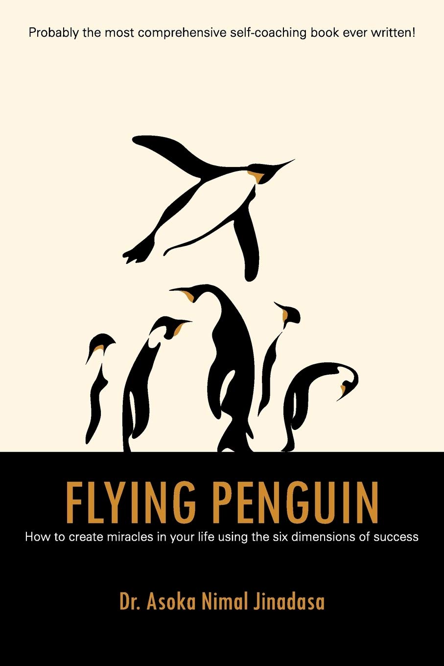 Flying Penguin How to create miracles i your life using the six dimensions of success