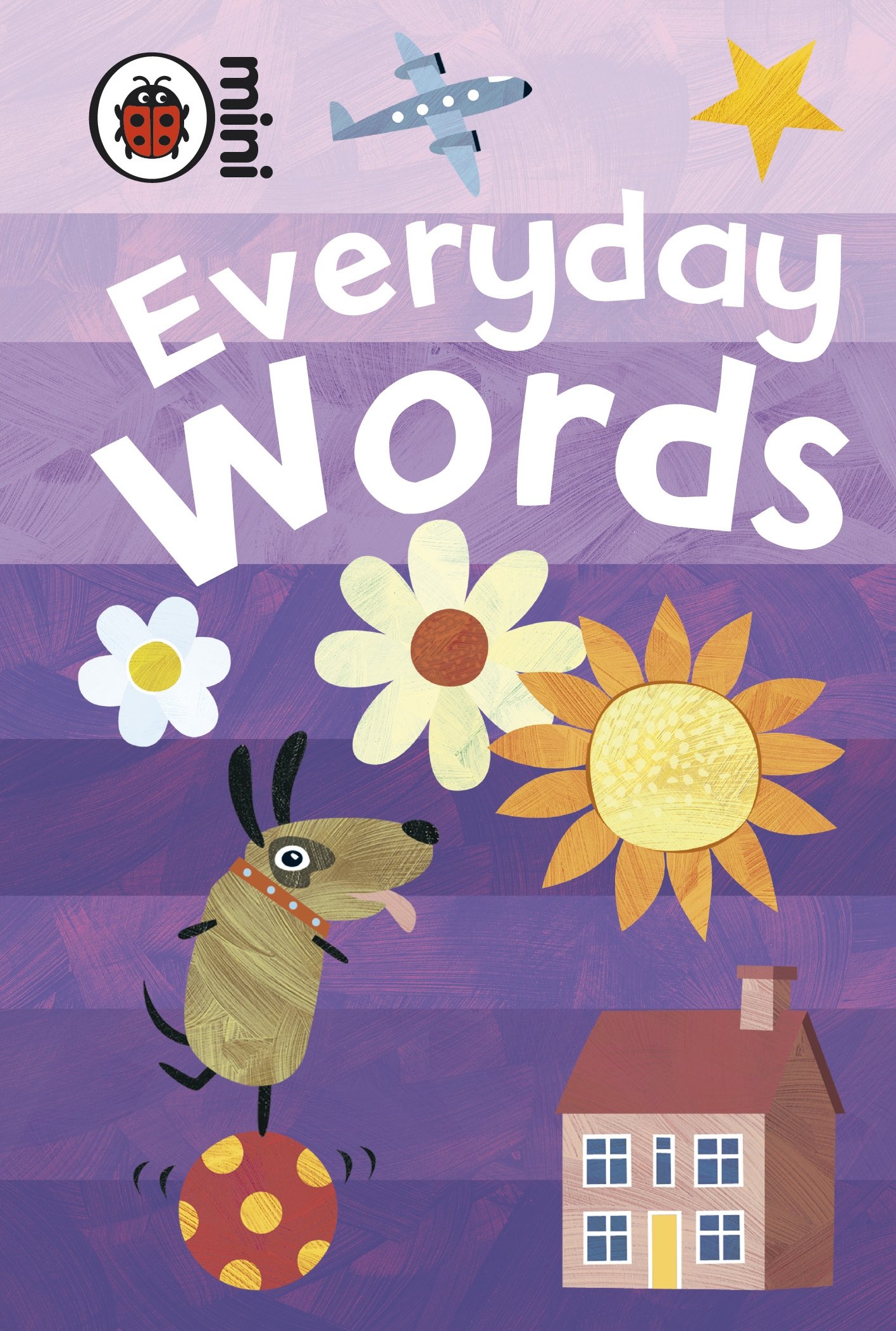 Mini Early Learning Everyday Words