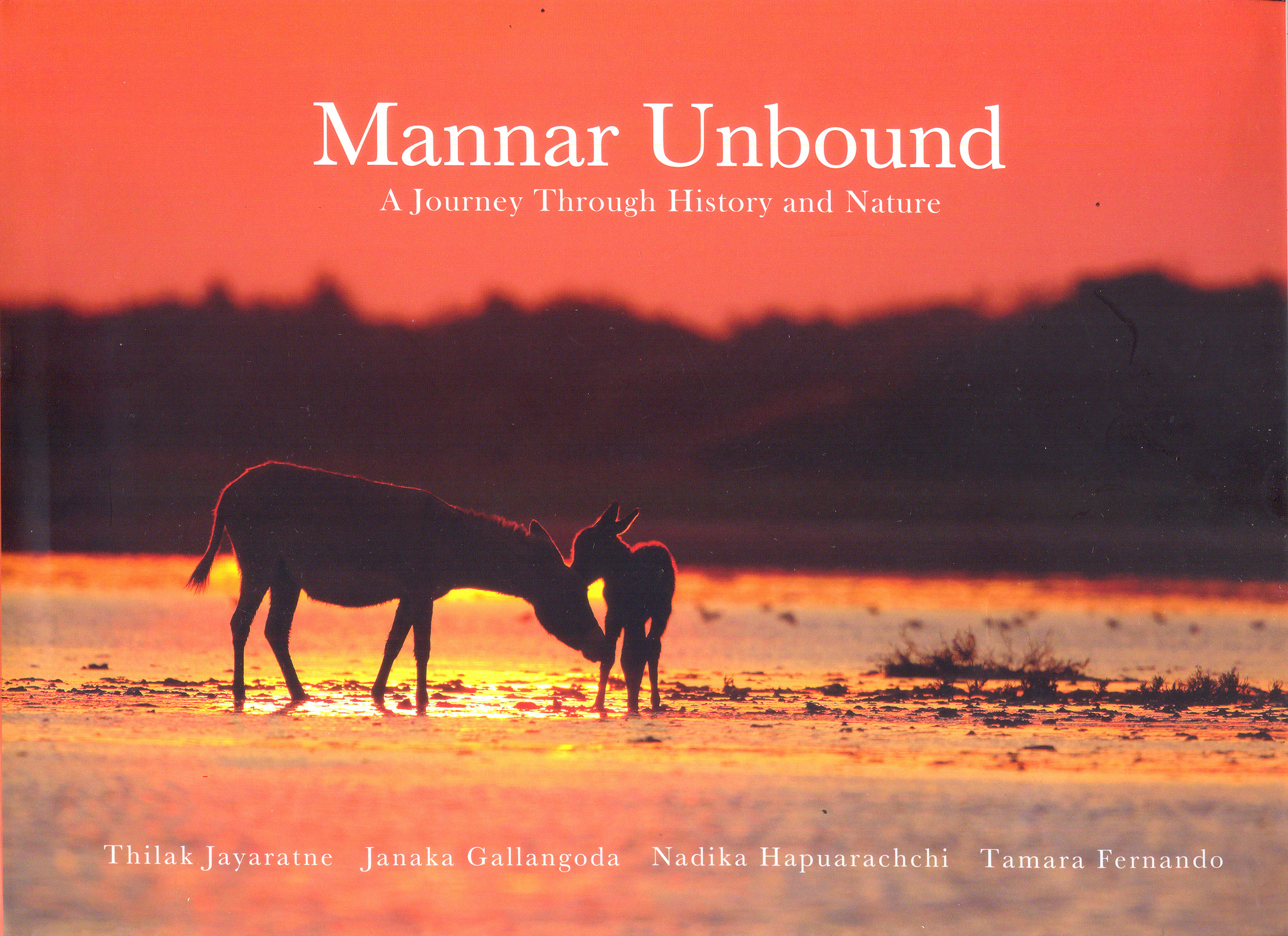 Mannar Unbound: A journey through history and nature