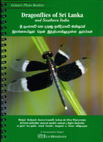 Dragonflies Of Sri Lanka and Southern India
