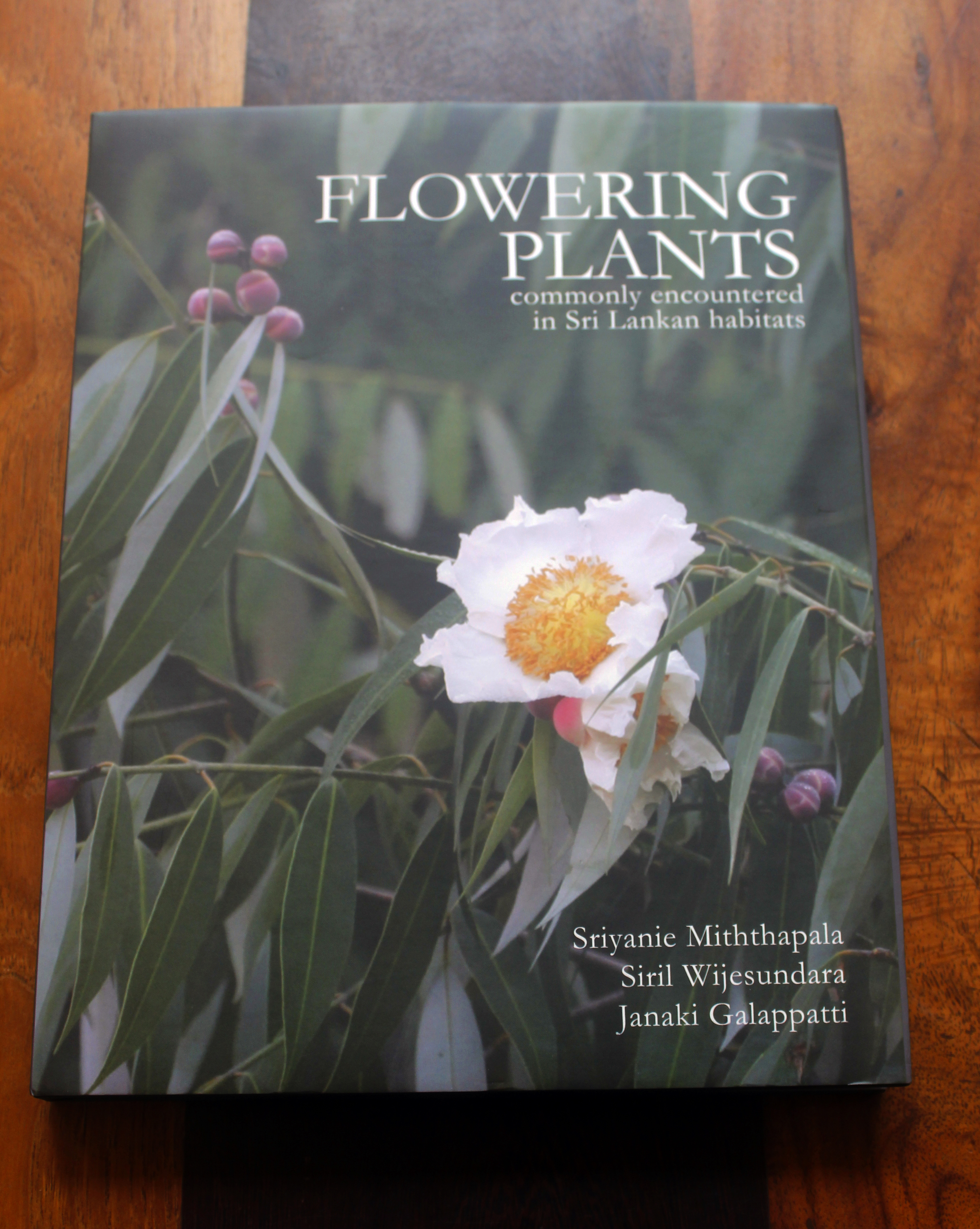 Flowering Plants Commonly Encountered in Sri Lankan Habitats