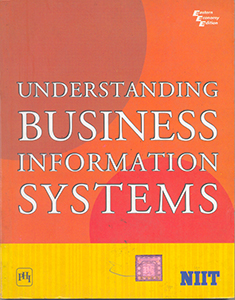 Understanding Business Information Systems