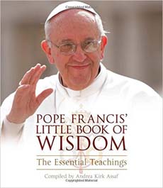 Pope Francis Little Book Of Wisdom