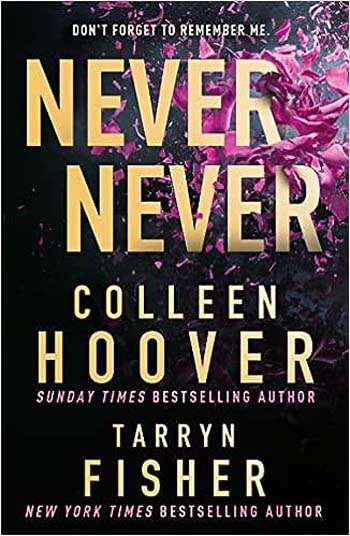 Never Never : A Romantic Suspense Novel of Love and Fate