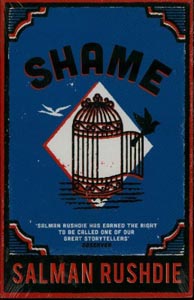 Shame : A Novel