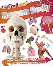 Findout! Human Body