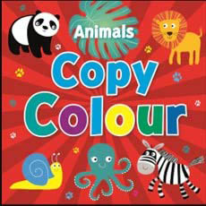 Animals Copy Colour