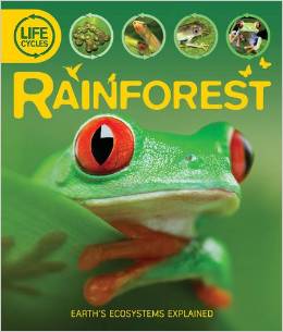 Rainforest (Life Cycles)