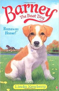 Barney The Boat Dog : Runway Horse !