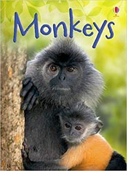 Monkeys (Beginners)