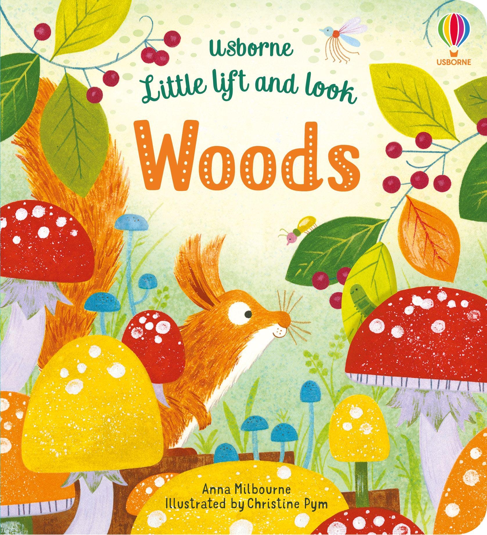 Usborne Little Lift and Look Woods