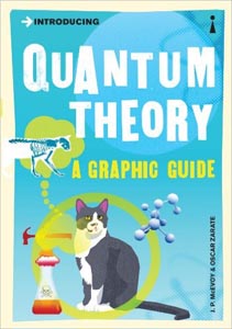 Quantum Theory  A Graphic Guide 