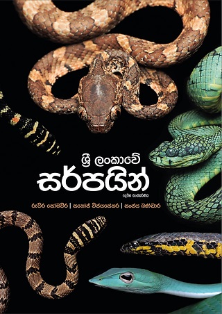 Snake of Sri Lanka