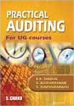 Practical Auditing for UG Courses