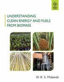 Understanding Clean Energy and Fuels from Biomass