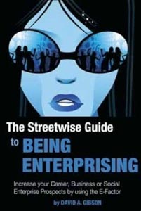 The streetwise Guide to Being Enteprising