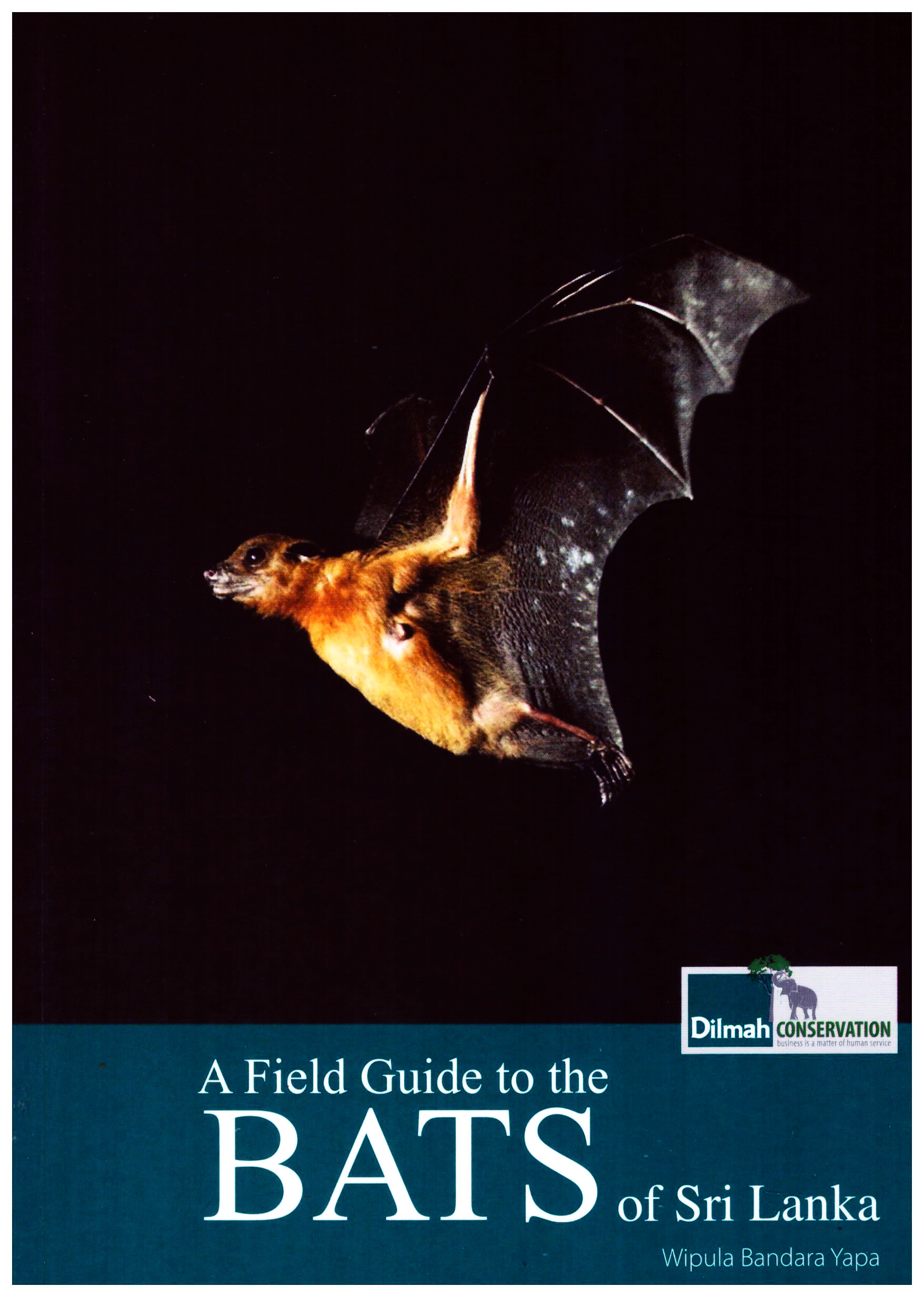 A Field Guide to the Bats of Sri Lanka