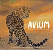 Avium An endless journey through sri lanka wilds