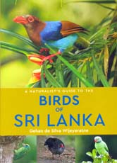 A Naturalist Guide To The Birds Of Sri Lanka 