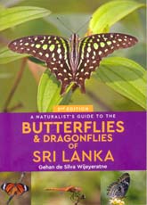 A Naturalists Guide To The Butterflies And Dragonflies Of Sri Lanka 