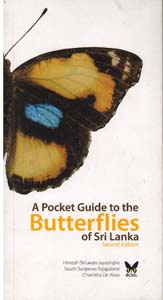 A Pocket Guide to the Butterflies of Sri Lanka