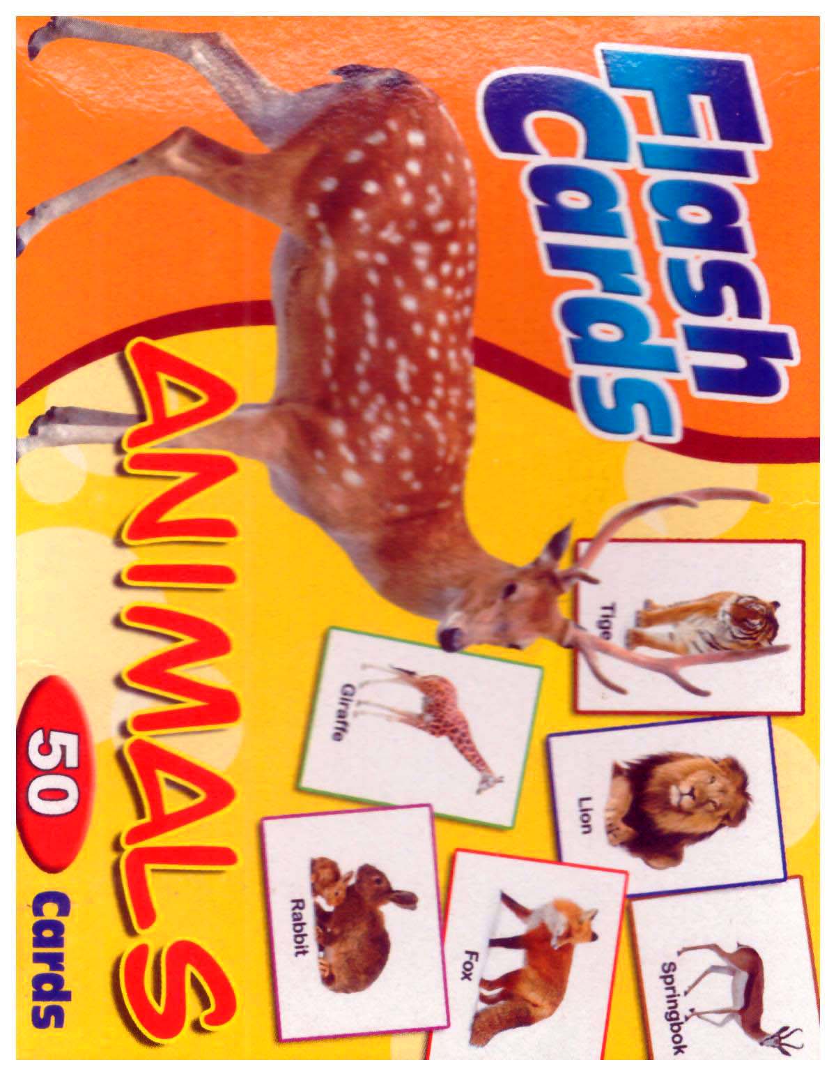 Flash Card Animal (50 Cards)