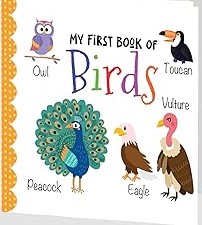 My First Book of Birds