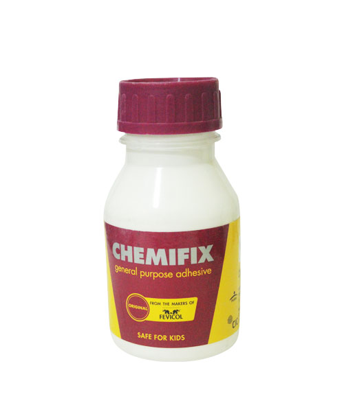 Pidilite Chemifix 100g