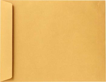 Envelope 15"  x 10" Plain Brown