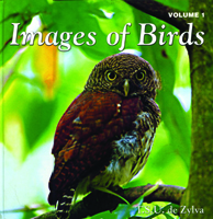 Images of Birds Volume 1