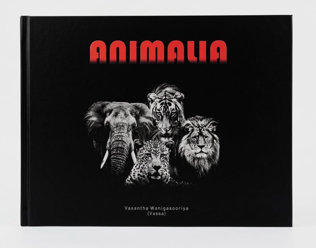 Animalia