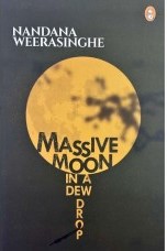 Massive Moon In A Dew Drop
